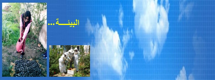 نماذج من مشاريع بيئية